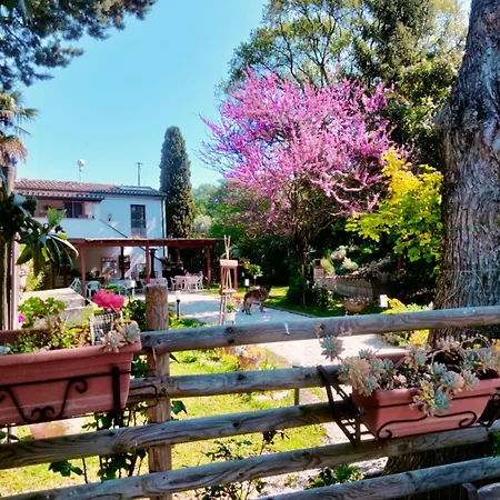 The Levante Bed and Breakfast