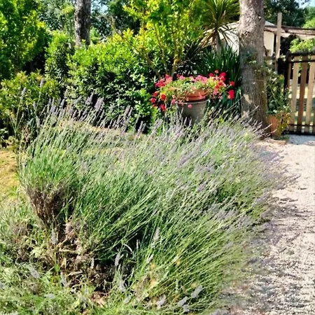 The Levante Bed and Breakfast Sirolo