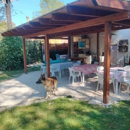The Levante Bed and Breakfast *